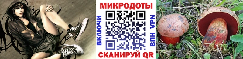 купить наркоту  Черноголовка  Галлюциногенные грибы MAGIC MUSHROOMS 